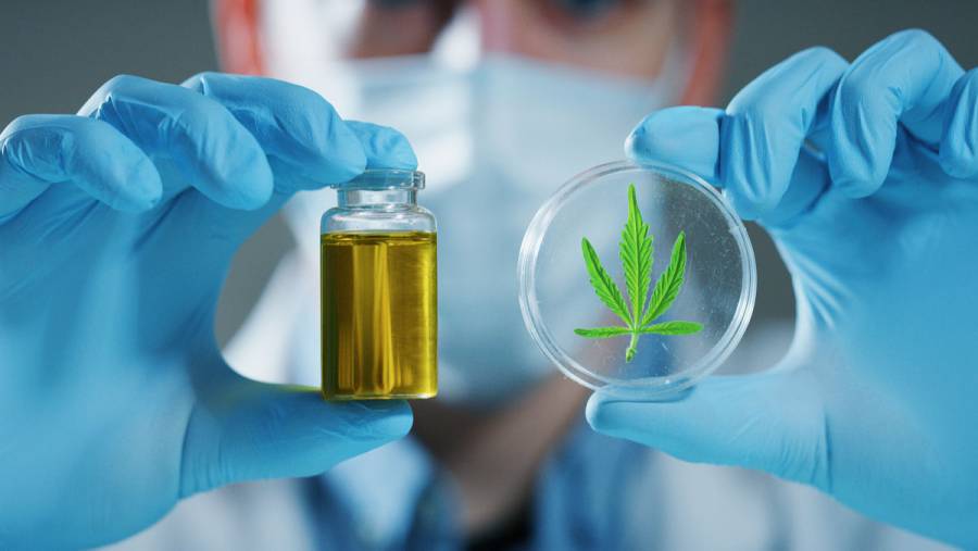 Un test de saliva detecta el consumo reciente de cannabis en cinco minutos