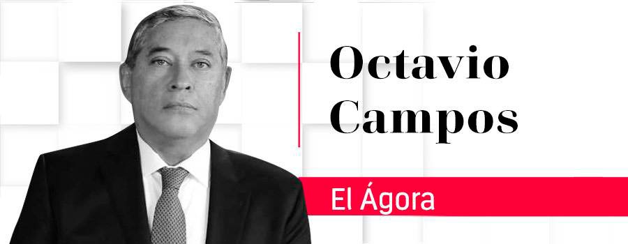 Las encuestas y el abstencionismo
