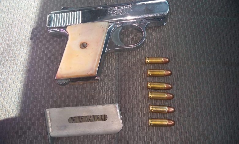 Decomisan armas, cartuchos útiles y precursores químicos en la GAM