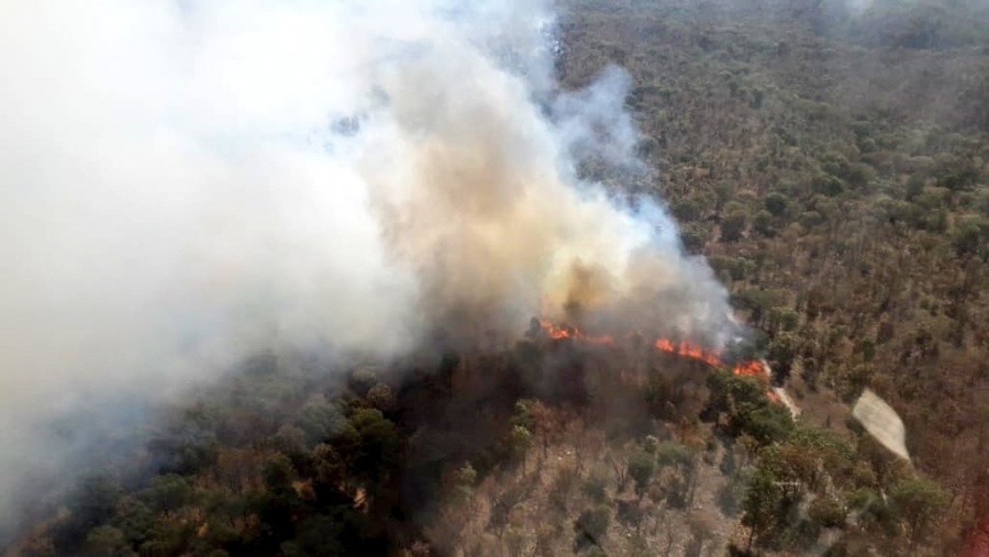 Nuevo incendio en el Bosque de la Primavera