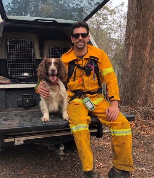 Taylor, ha logrado rescatar al menos 15 koalas en los incendios de Australia