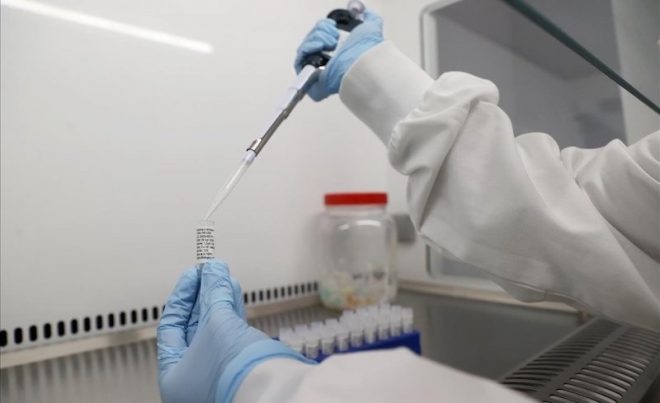 Investigadores del IMSS participan en el desarrollo de vacuna contra el Covid-19.