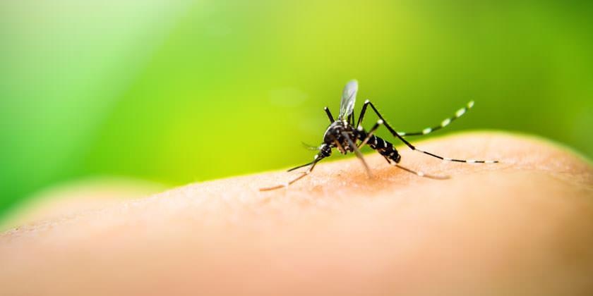 Reportan 27 muertos por dengue en República Dominicana