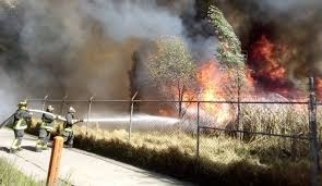 Incendio de pastizal en Xochimilco