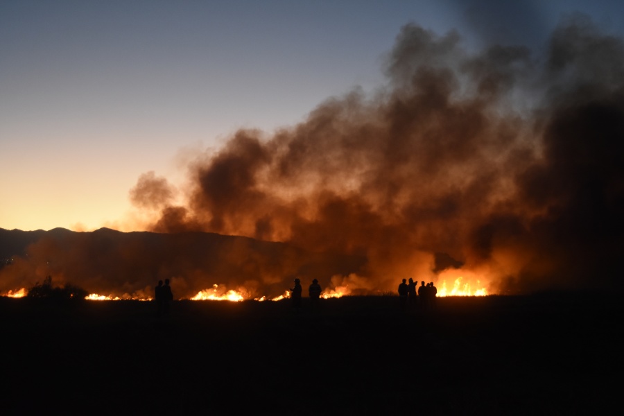 Estos son los incendios que han azotado Xochimilco en los últimos dos meses