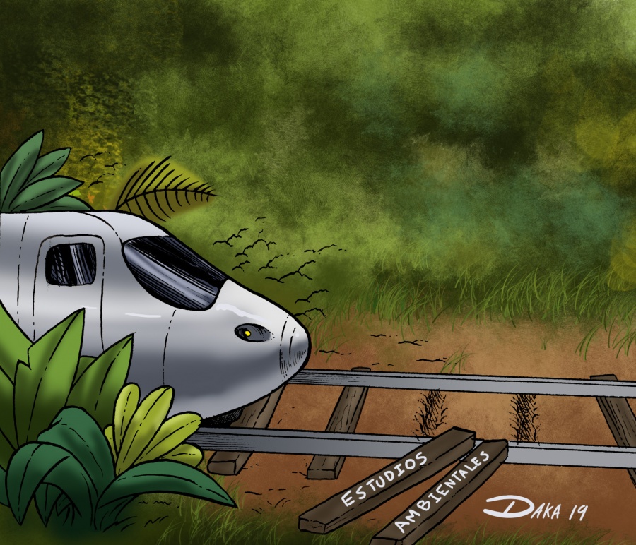 Tren Maya, aún sin estudios ambientales: Semarnat