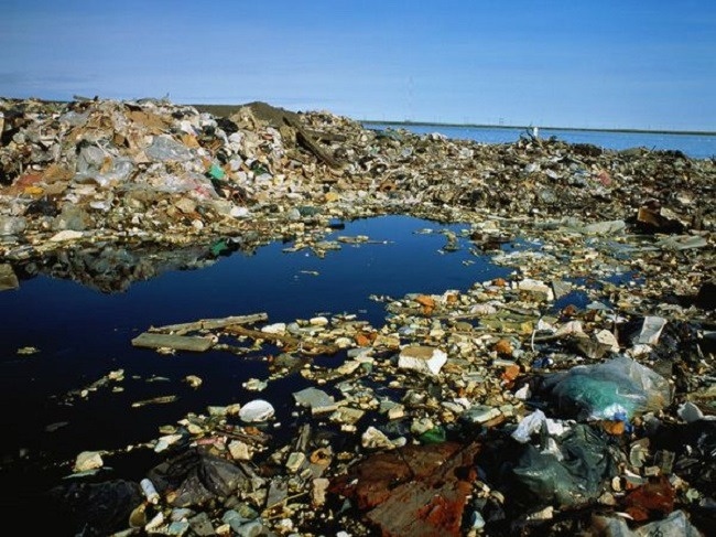 “Islas de plástico” matan a miles de animales al año