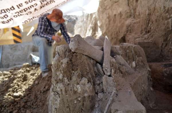 Descubren restos de mamuts en Tultepec