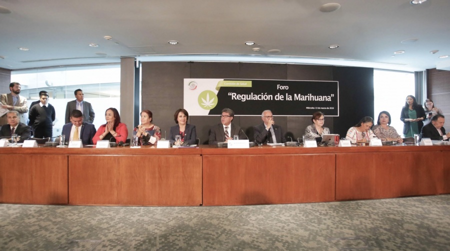 Bancadas en el Senado planean despenalización de la marihuana