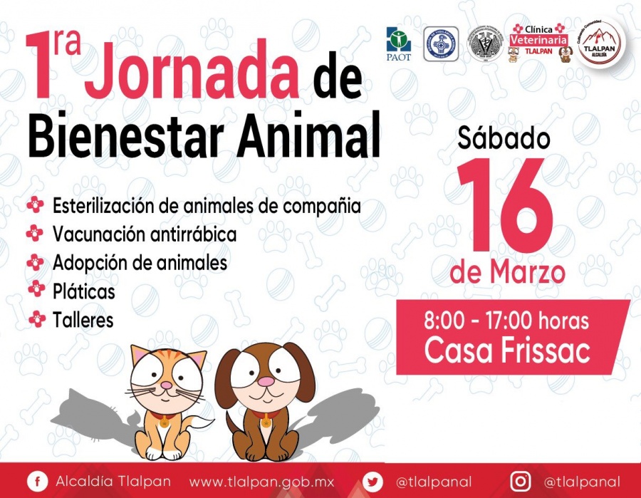 Alistan primer Jornada de Bienestar Animal, en Tlalpan