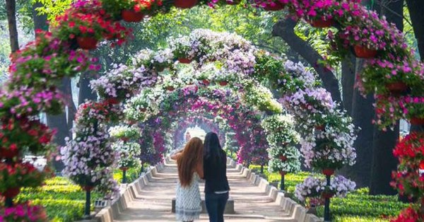 Primavera en Reforma, el primer Festival de Flores