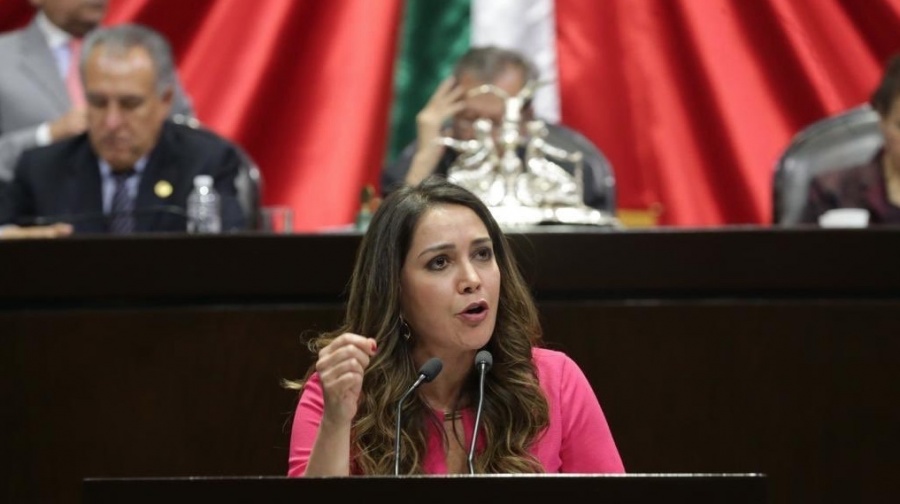 Pide legisladora que SHCP de a conocer costo de arrendamiento en aeropuerto de EUA para estancia de aeronaves mexicanas