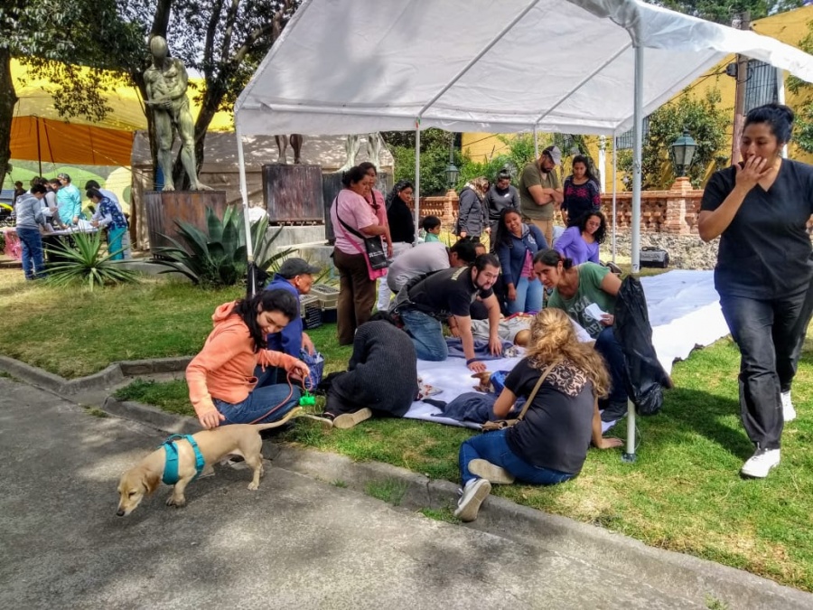 Tlalpan realiza primer Jornada de Bienestar Animal