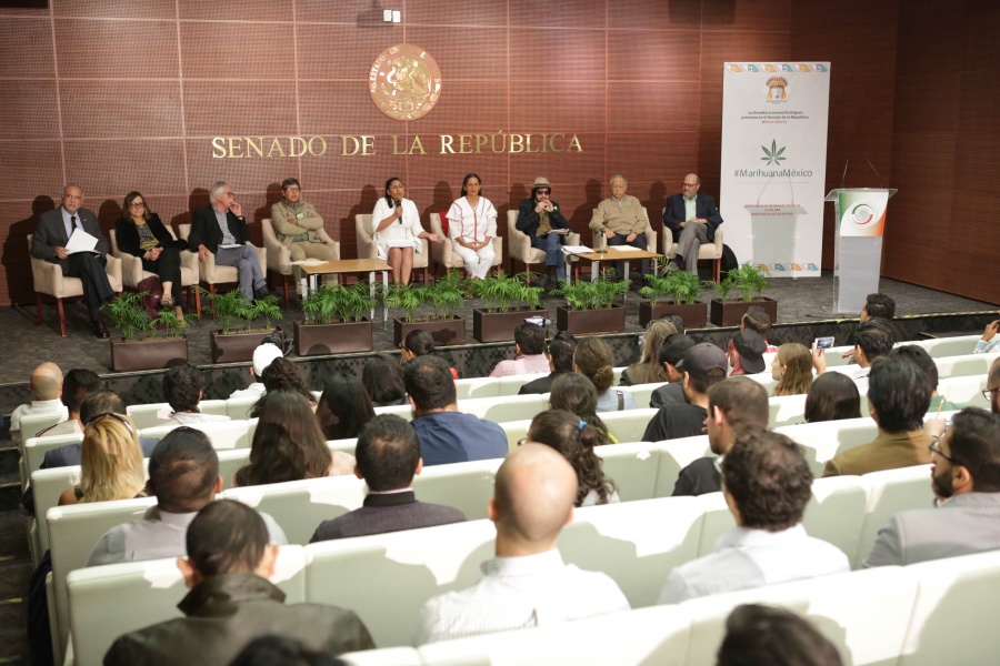 Legislación sobre marihuana debe estar este año, senadores