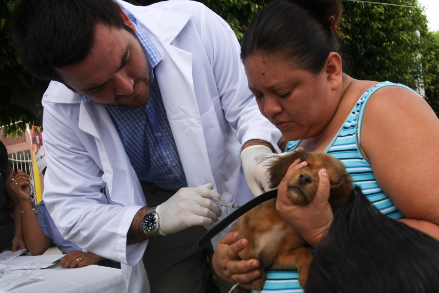 Mañana inicia campaña de vacunación a mascotas en Milpa Alta