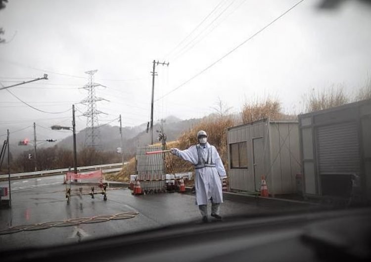 Encuentran en el Estrecho de Bering residuos radiactivos de Fukushima