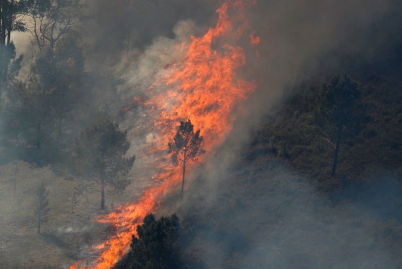 Al menos 30 bomberos pierden la vida, por  incendio en China