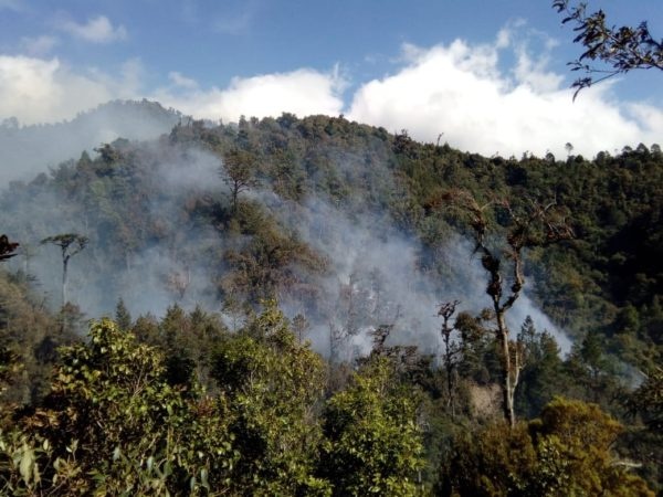 Semarnat controla incendio en “El Triunfo Chiapas”