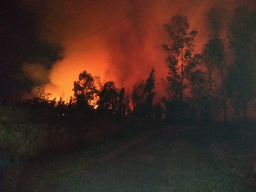 Bomberos continúan laborando por incendio en Xochimilco