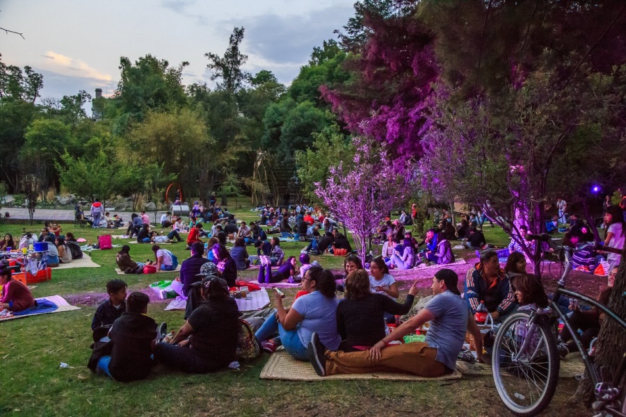 “Picnic Nocturno” será este sábado