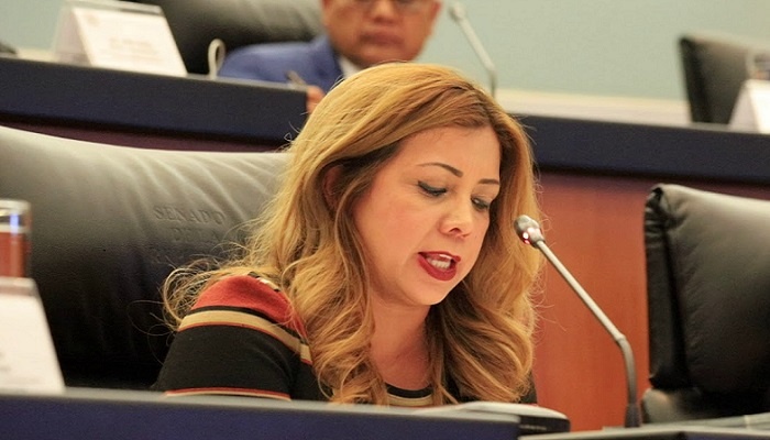 Urge Diputada González Castañeda, crear mecanismos para garantizar seguridad a la niñez