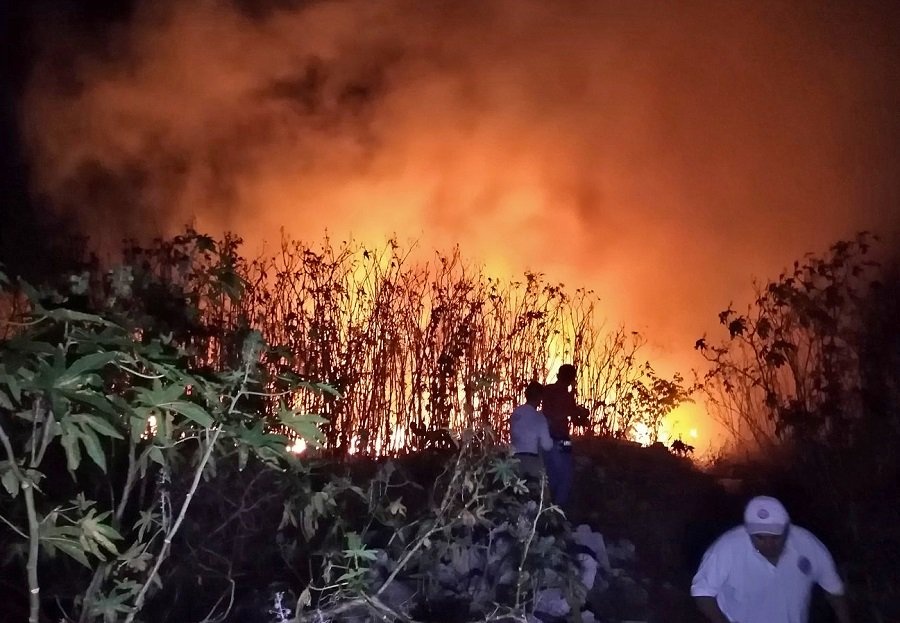 Son consumidas 200 hectáreas en Manglar de Campeche por un incendio