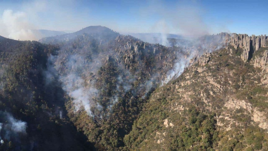 Incendio consume 35 hectáreas en sierra de San Luis Potosí