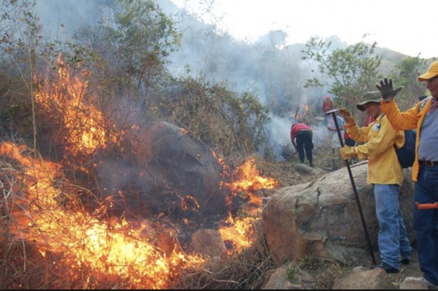 Llaman a controlar incendio forestal en Guerrero