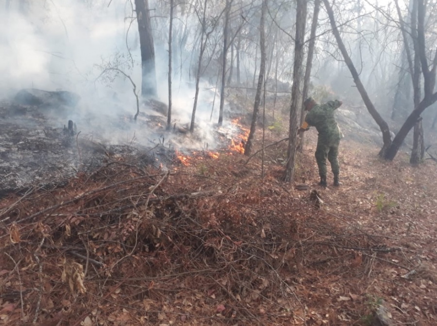 Sedena aplica Plan DN-III-E, por incendios en Durango, Querétaro y Tabasco