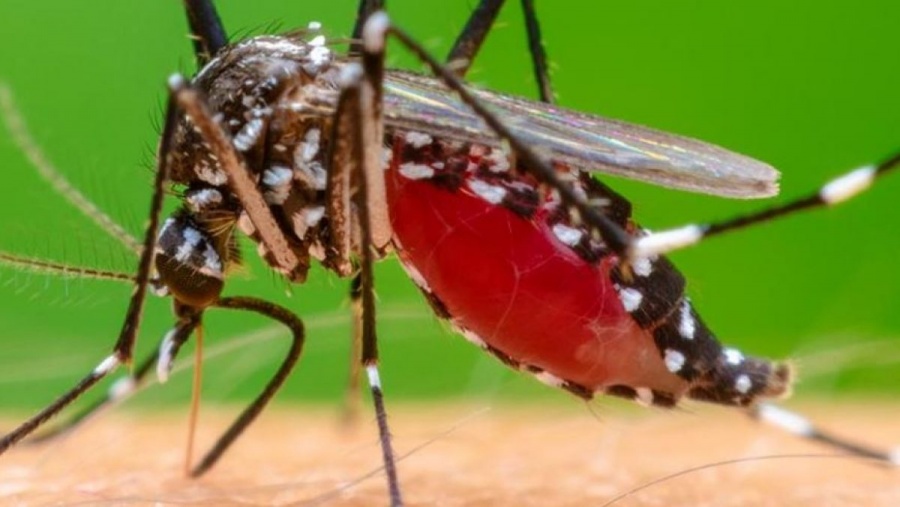 Malawi implementa primera vacuna contra la Malaria