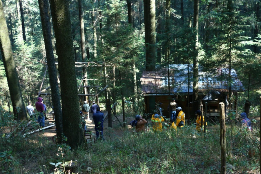 Cuajimalpa realiza operativo para la protección de bosques