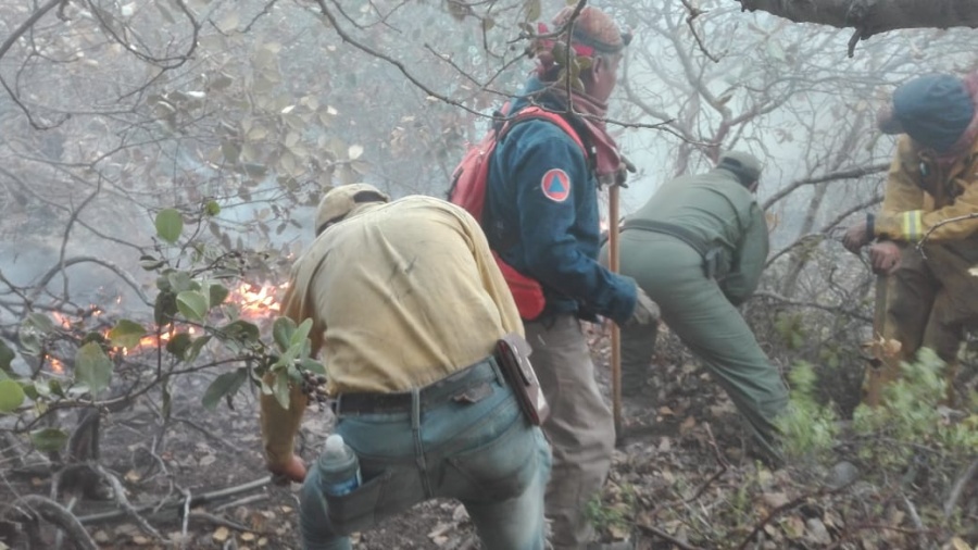 Continúa incendio forestal en San Miguelito