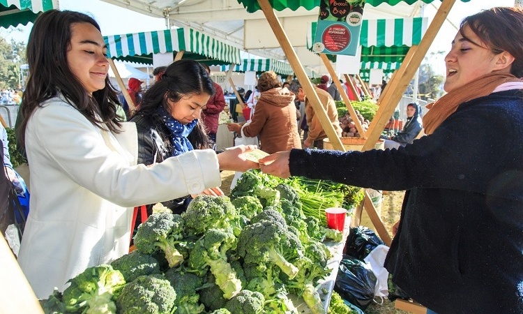 Mercado del Trueque llega al Bosque de Tlalpan este domingo