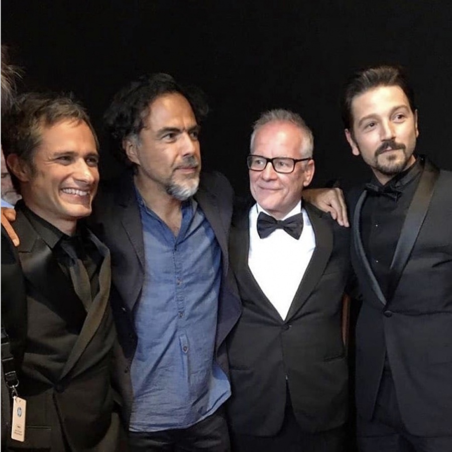 “Los Charolastras”, brillan en Cannes