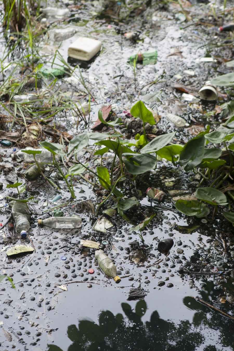 Buscan combatir la contaminación por plásticos en el país