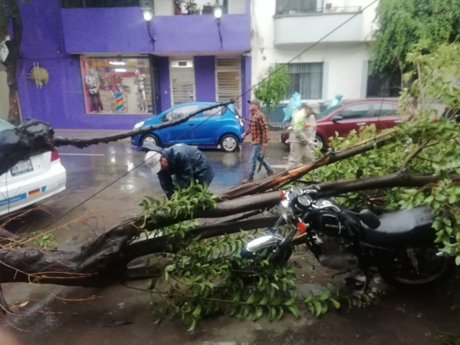 SSC apoya a la ciudadanía luego de las lluvias