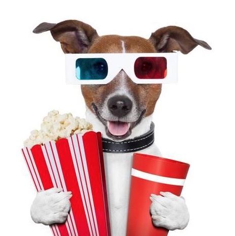 Este es el primer cine para mascotas en Texas