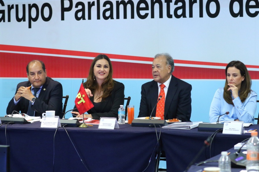 Reforma Electoral y rendición de cuentas prioridades en la agenda del PT en el Senado