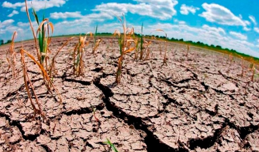 Microorganismos, vitales para combatir el cambio climático