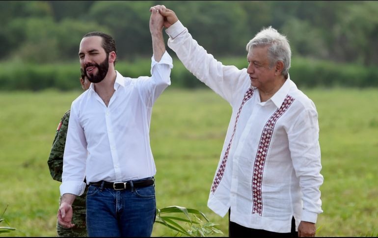 VIDEO: AMLO golpea por accidente a presidente de El Salvador