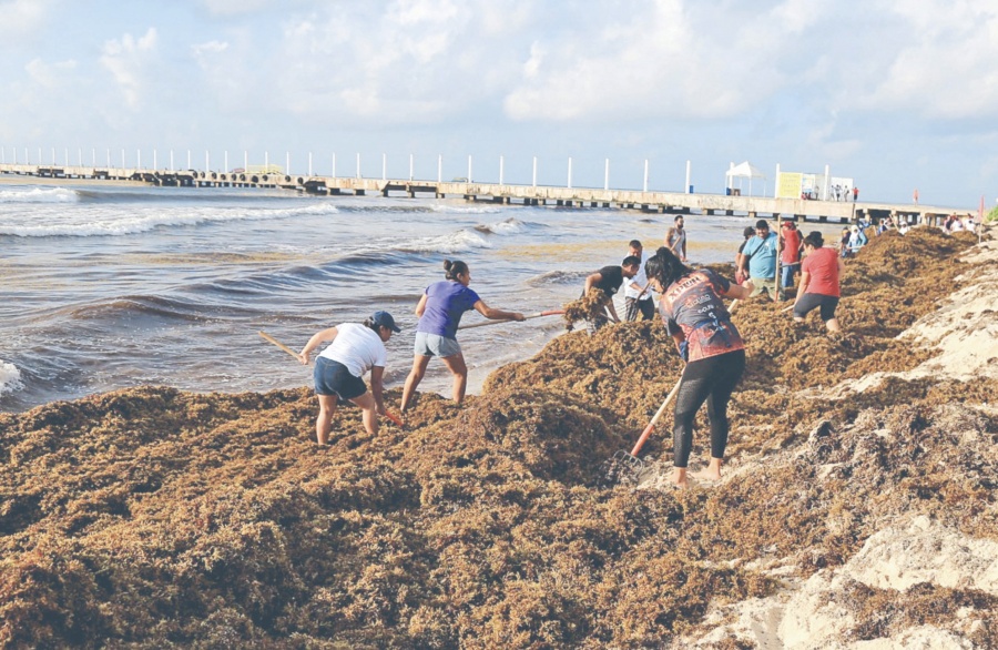 Desestima AMLO que el sargazo sea “gravísimo”