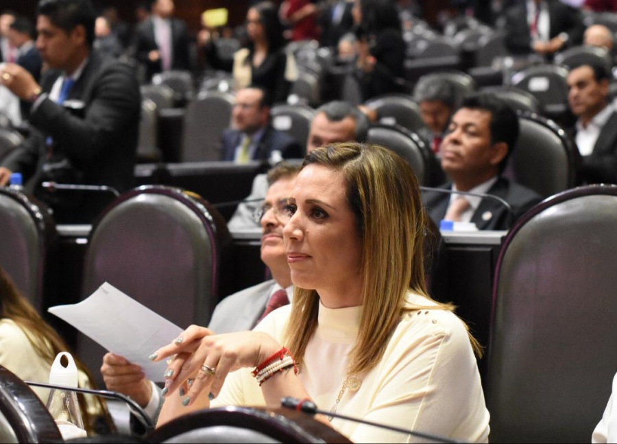 Necesario fortalecer inclusión financiera de las mujeres: Fabiola Loya