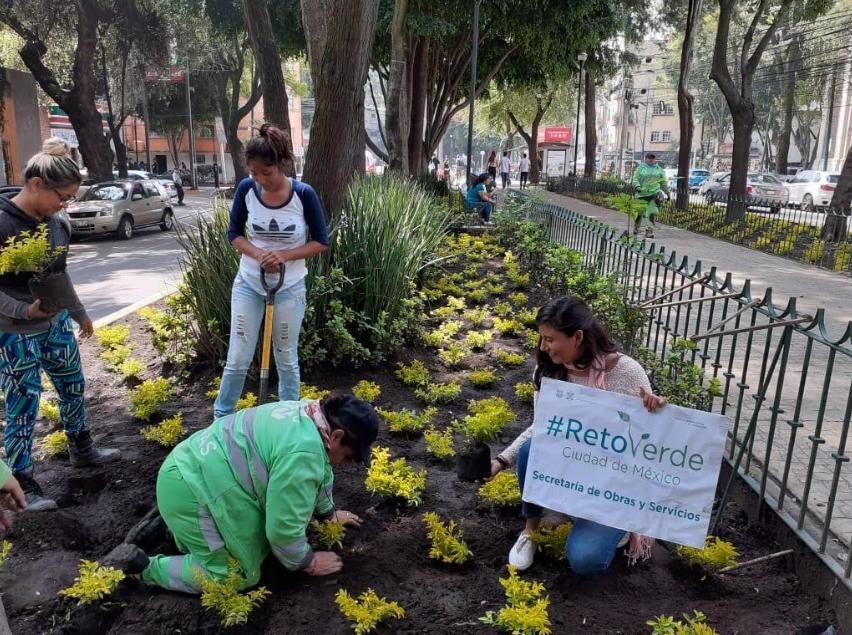 Se llevó a cabo la primera jornada #RetoVerde en Cuauhtémoc