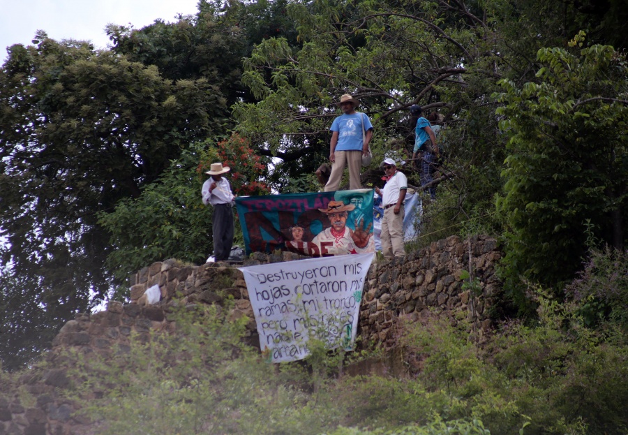 Latinoamérica, una de las más peligrosas del mundo para los activistas ambientales: IBD
