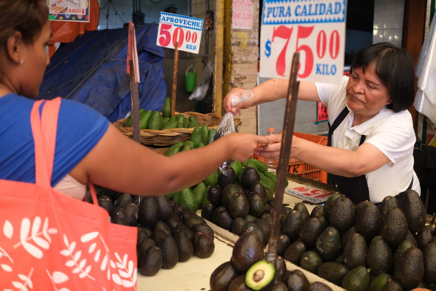 ¡Gran alivio! Aguacate baja a 75 pesos en la Central de Abasto