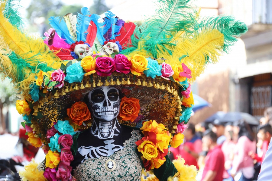 Festivales, conciertos y más: la cartelera cultural en CDMX para cerrar el año