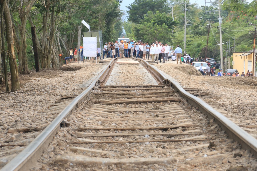 Prevén licitar en dos meses estudios ambientales para Tren Maya