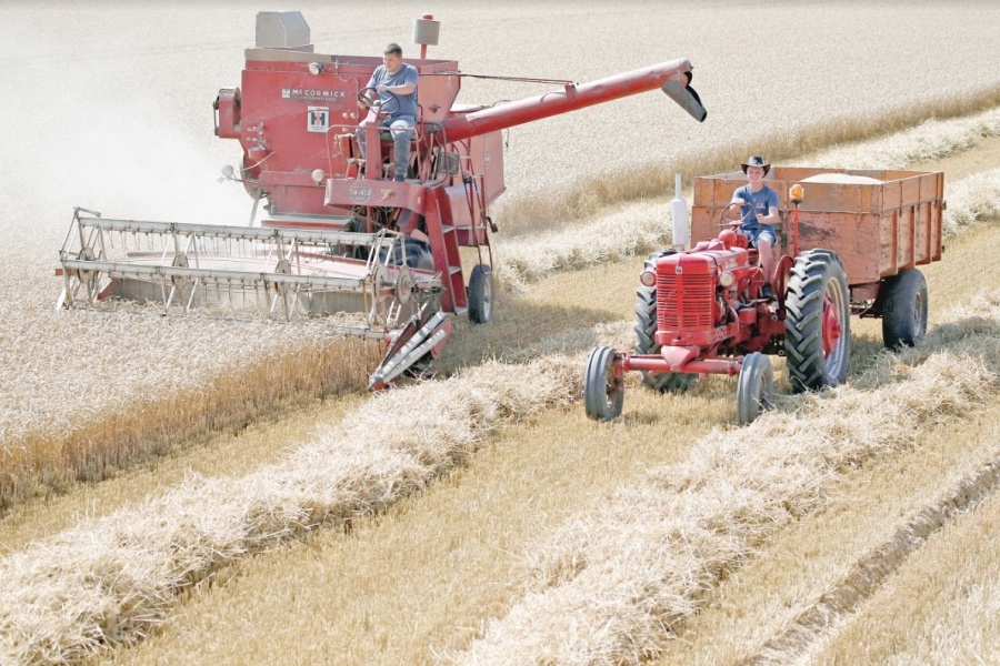 México va por más mercado agroalimentario hasta Qatar