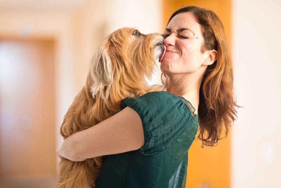 ¿Peligroso o no?: Estas son las consecuencias de besar a tu mascota