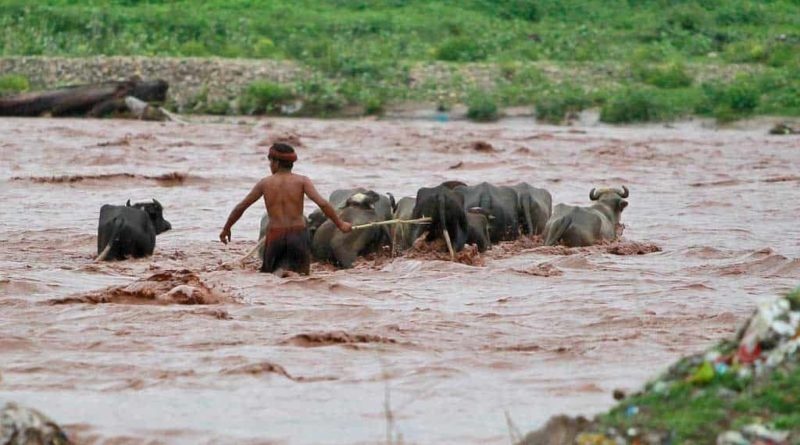 184 muertos y un millón de evacuados en India por monzón